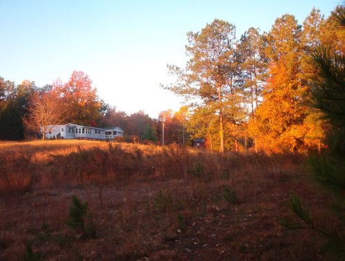 Seasons at The Clearing-Image 12