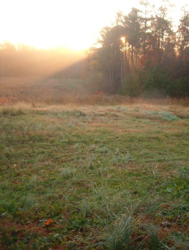 Seasons at The Clearing - Image 13