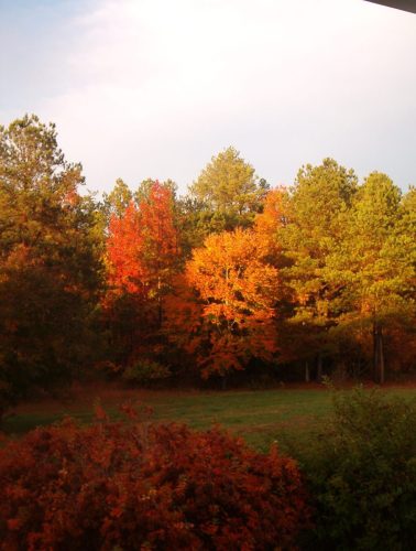 Seasons at The Clearing -Image 11