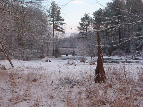 Seasons at The Clearing
