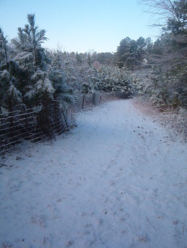 Winter at The Clearing - Image 05