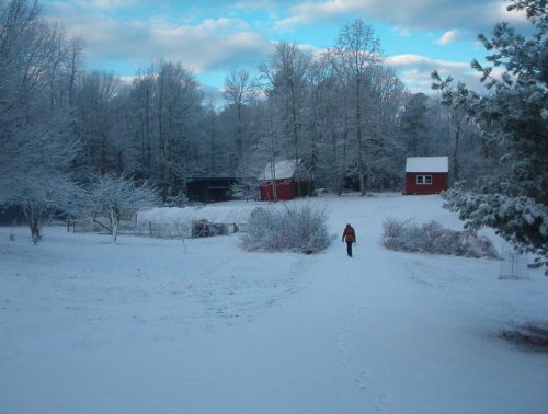 Winter at The Clearing - Image 06