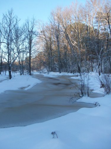 Winter at The Clearing - Image 07