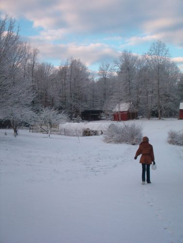 Winter at The Clearing - Image 08