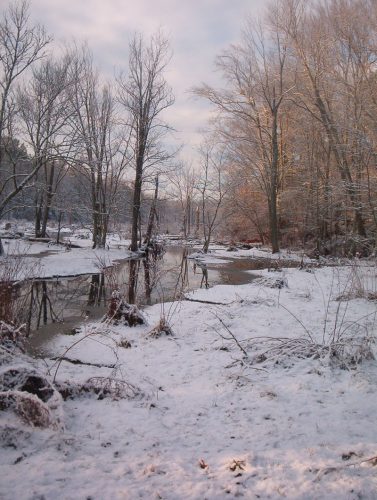 Winter at The Clearing - Image 10